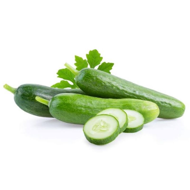 Timun jepang 1 kg