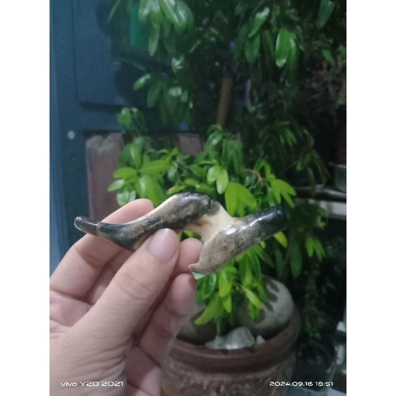 pipa rokok tulang/cangklong unik