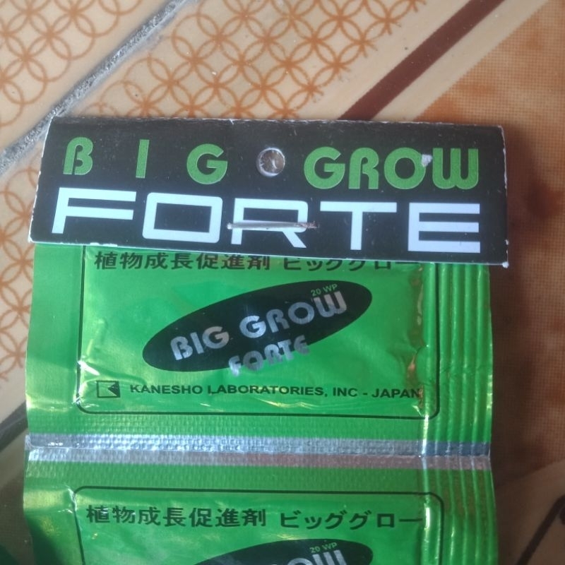 ZPT BIG GROW FORTE kemasan mini hormon perangsang bunga dan buah Big grow forte Biggrowforte biggrow