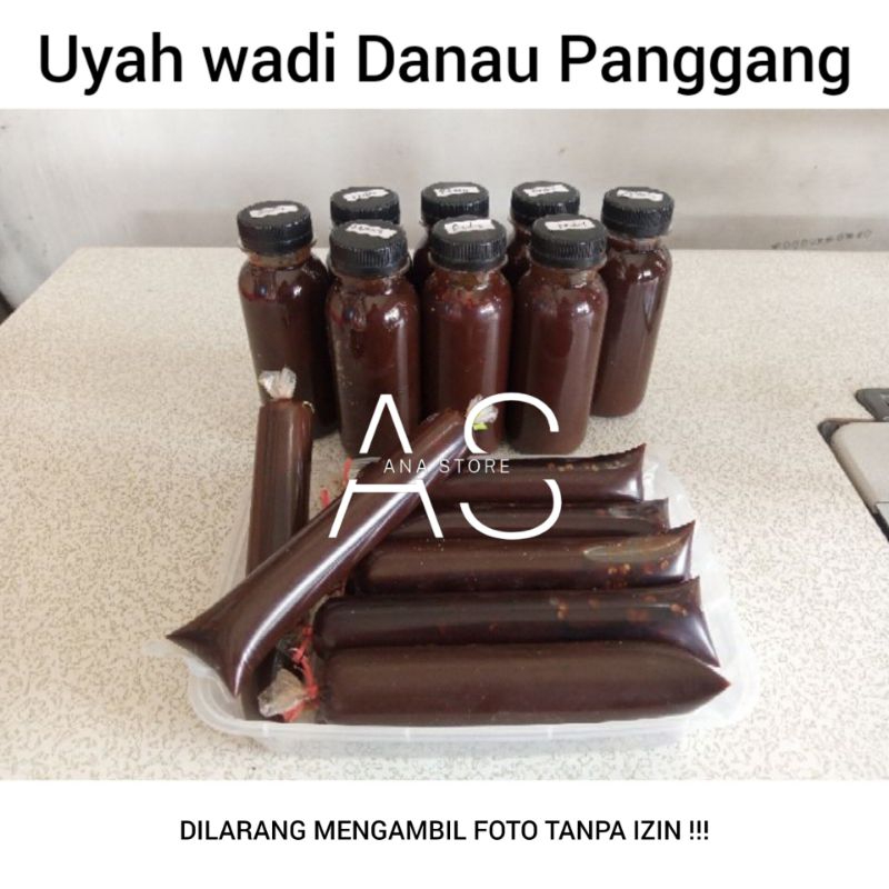 

Uyah Wadi Danau Panggang