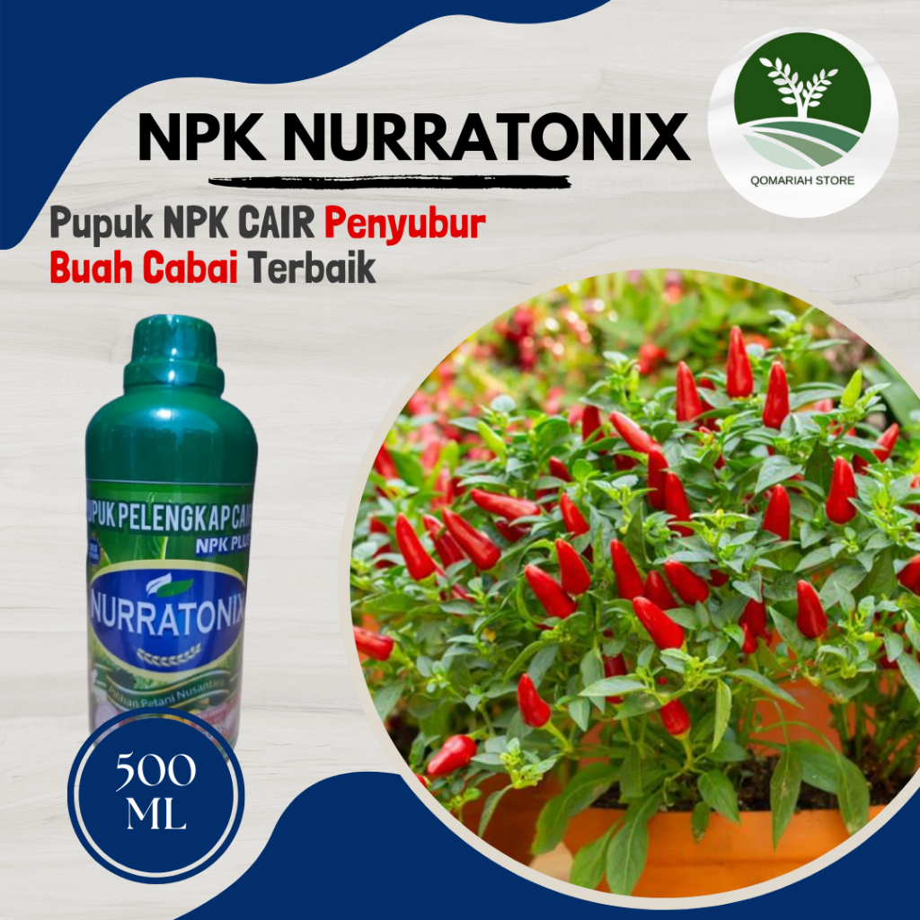 pupuk pelebat penyubur buah cabe terbaik - NPK NURRATONIX - Melebatkan tanaman cabe dan memperbesar 