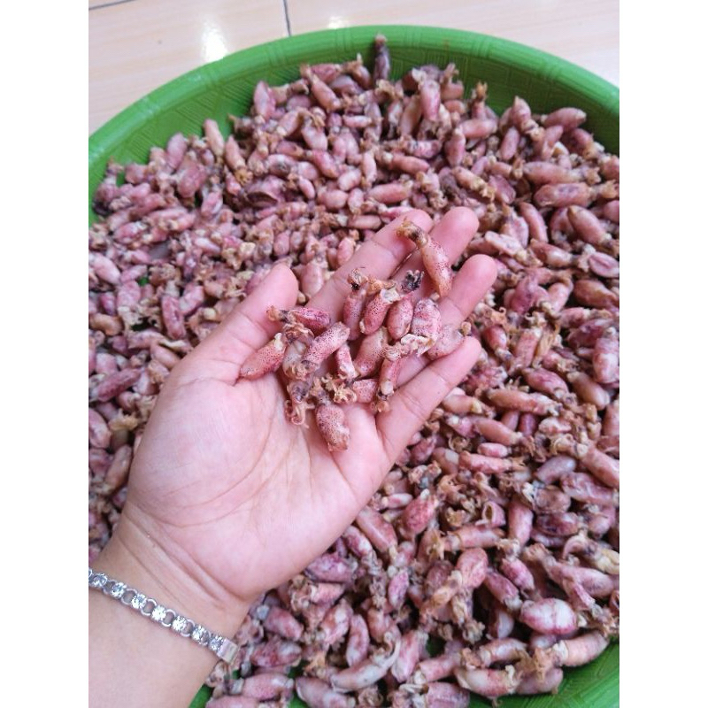 

IKAN ASIN CUMI SERBA 500 GRAM / IKAN NUSANTARA / IKAN ASIN NUSANTARA / IKAN ASIN PREMIUM