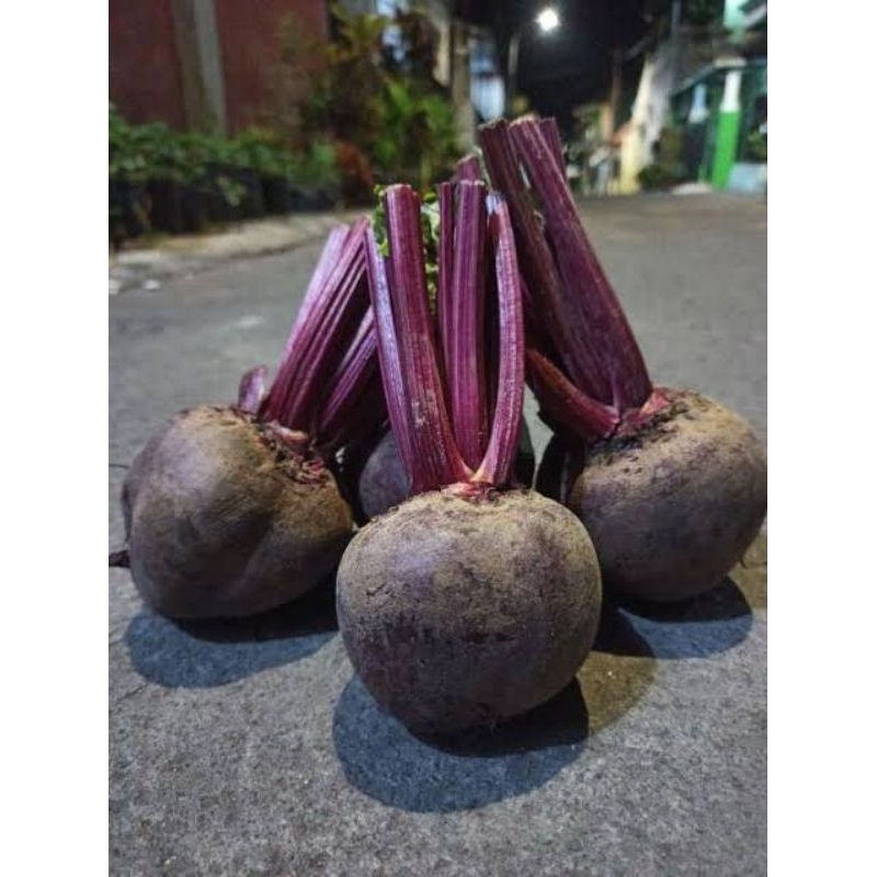 

BUAH BIT 1 KG