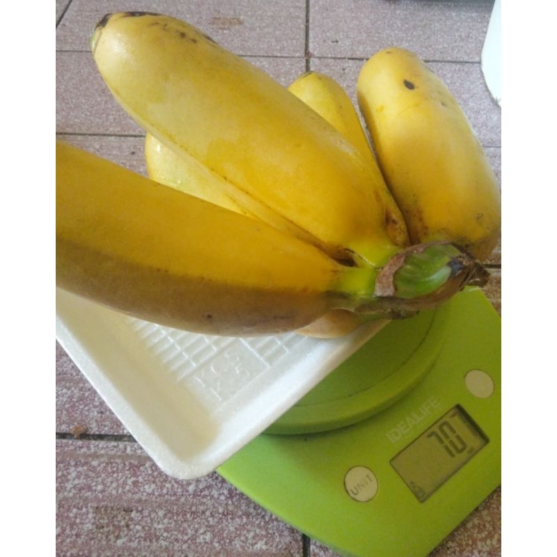 

Pisang Barangan Mini Sunprise 1kg