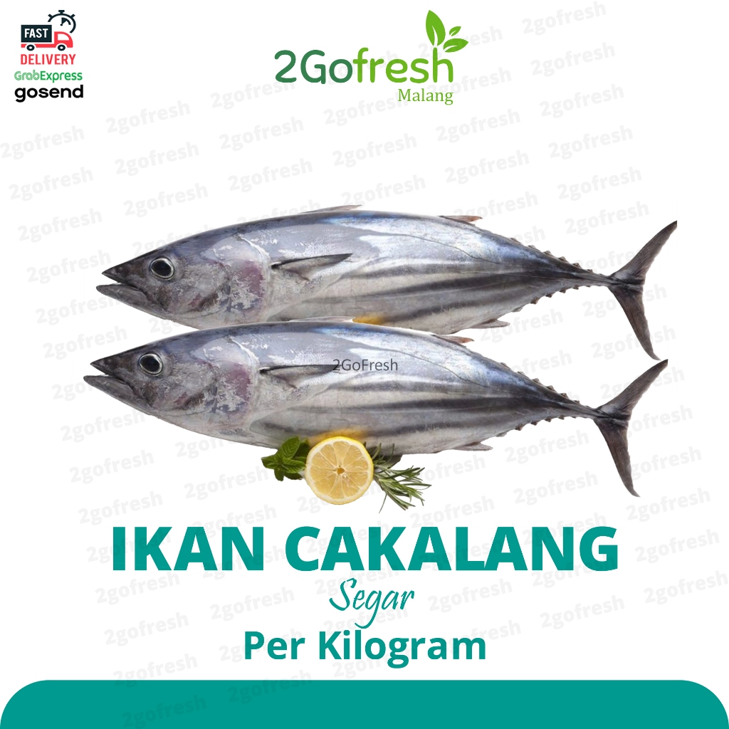 

Ikan Cakalang Segar Fresh - Sayur Sayuran