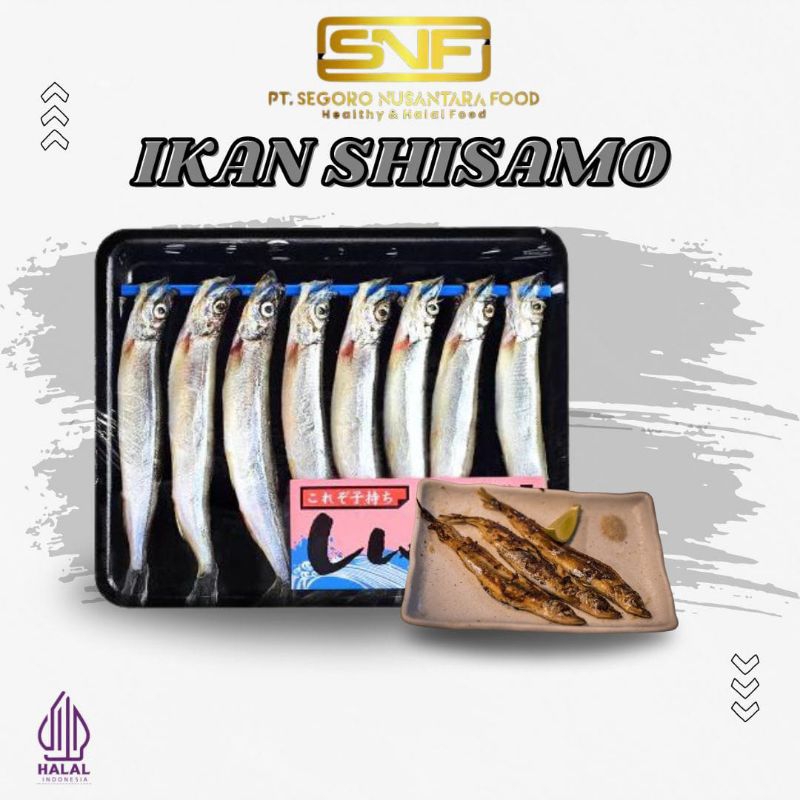 

Ikan Shisamo - Ikan Shisamo