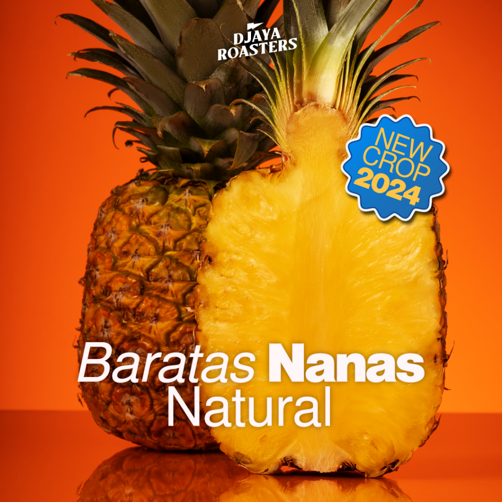 

Baratas Nanas Natural - Single Origin Filter Coffee