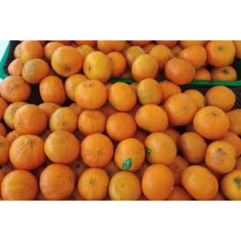 

buah jeruk 1 kg
