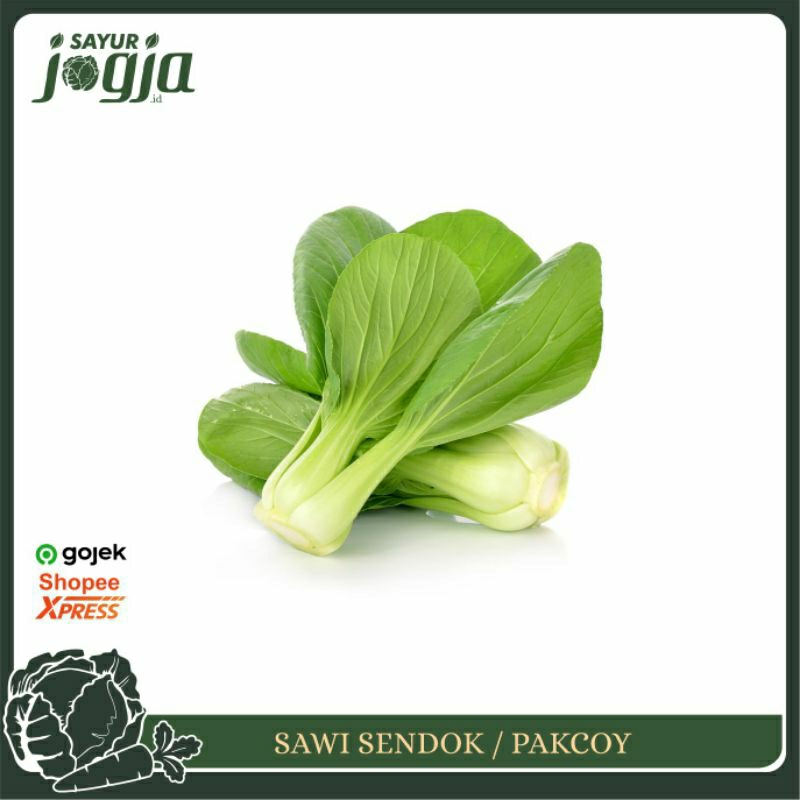 

Pakcoy Sawi Sendok 250g : Sayur Jogja