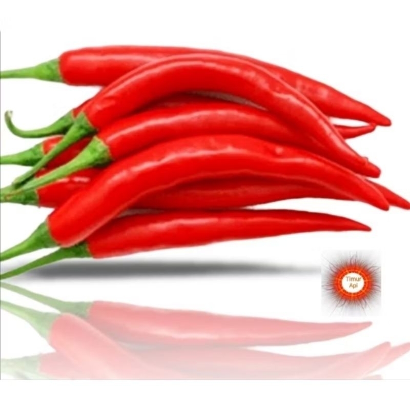 

Cabe Merah besar 1kg fresh / cabe besar 1kg