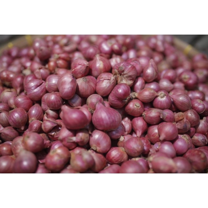 

BAWANG MERAH PROBOLINGGO SUPER berat 1kg