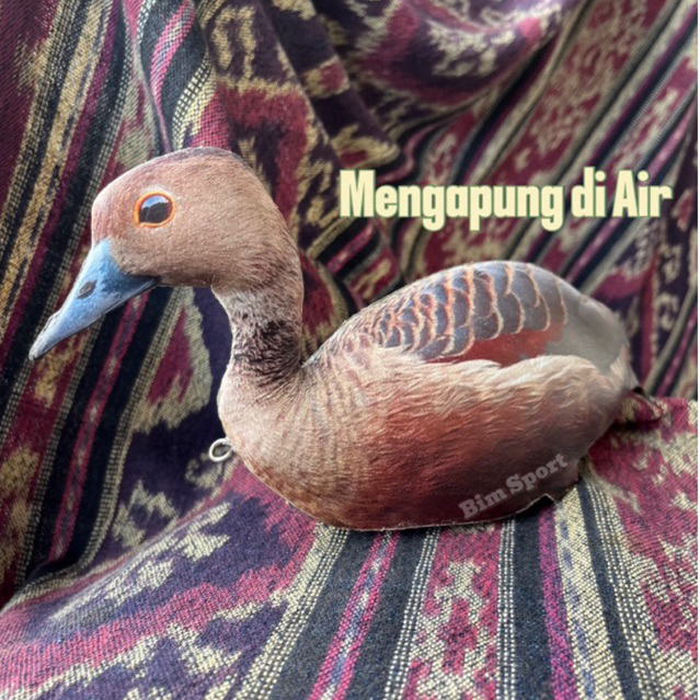 Jontrot Burung Belibis Polos / Belibis Batu