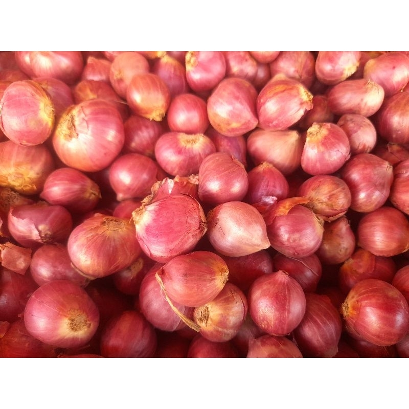 

bawang merah besar 500gr