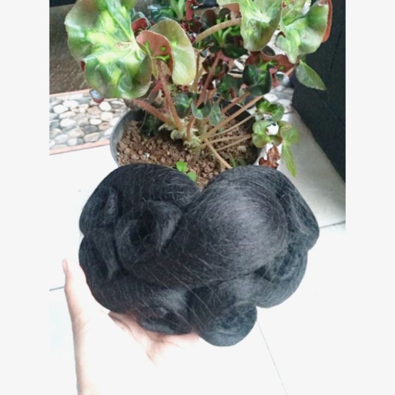 sanggul modern kekinian sanggul modern kembangan sanggul bali sanggul batak sanggul simpel