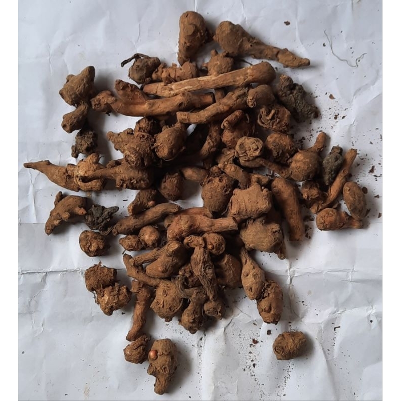 

kunci / kunci sayur ( jamu herbal & buat masakan ) ( 1 ons / 100 gram )