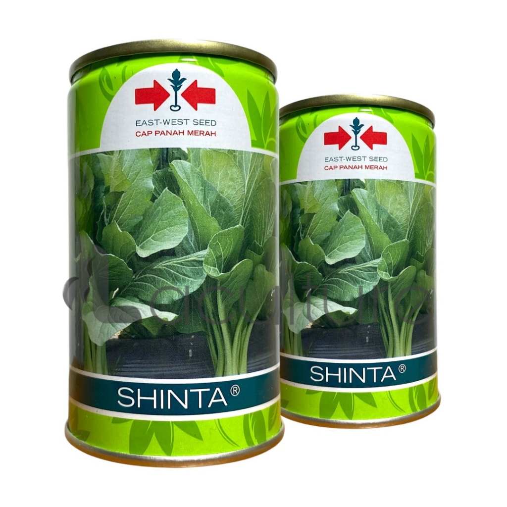 Benih Caisim SHINTA Kaleng Isi 100 gram Cap Panah Merah