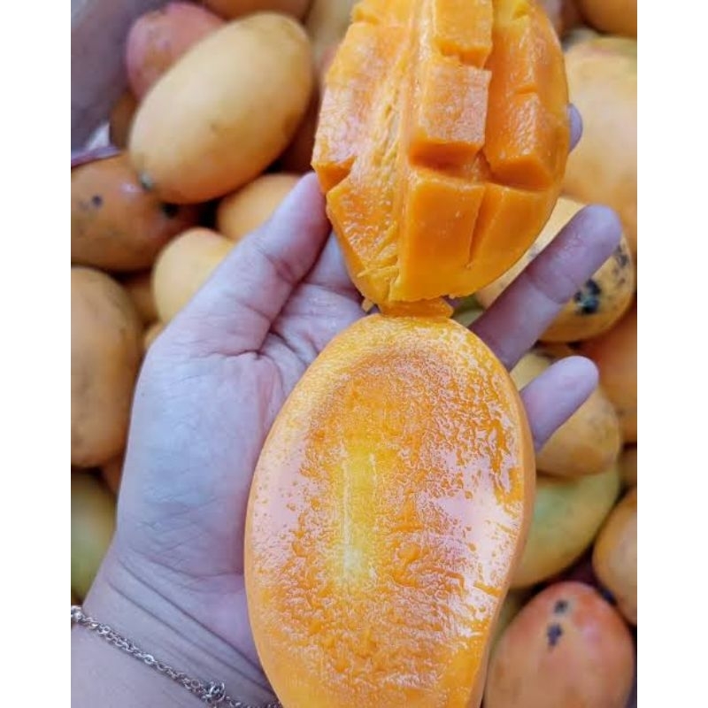 

MANGGA PODANG ASLI INDRAMAYU 1KG