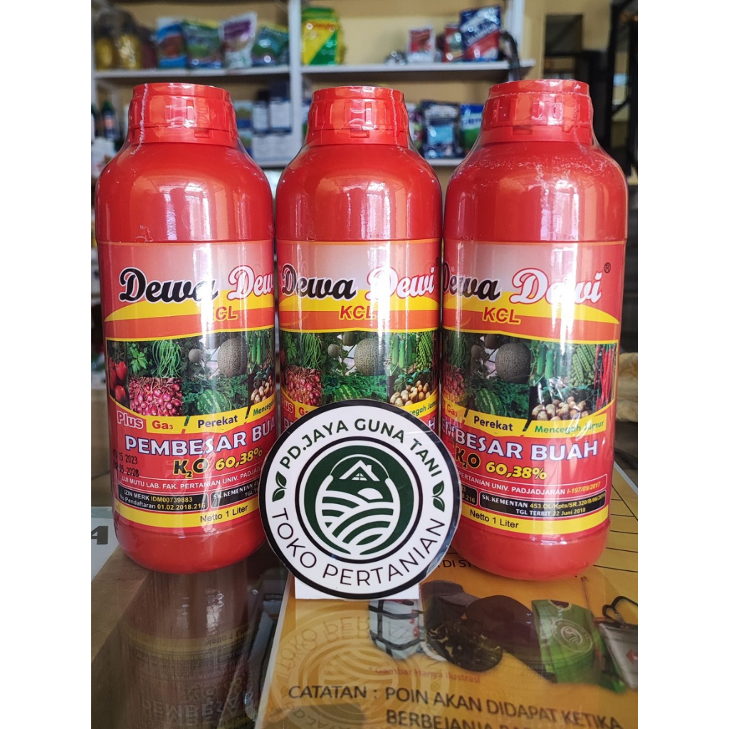 DEWA DEWI 1L, KCL Cair