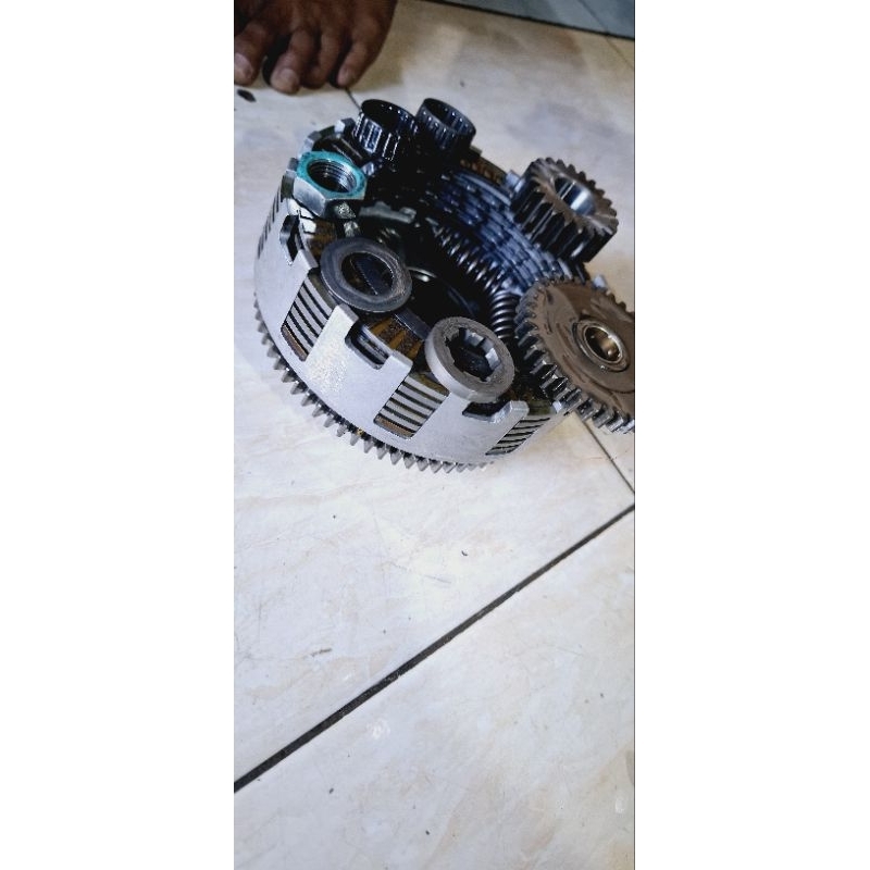 gigi primer sekunder ninja r.rr.ss