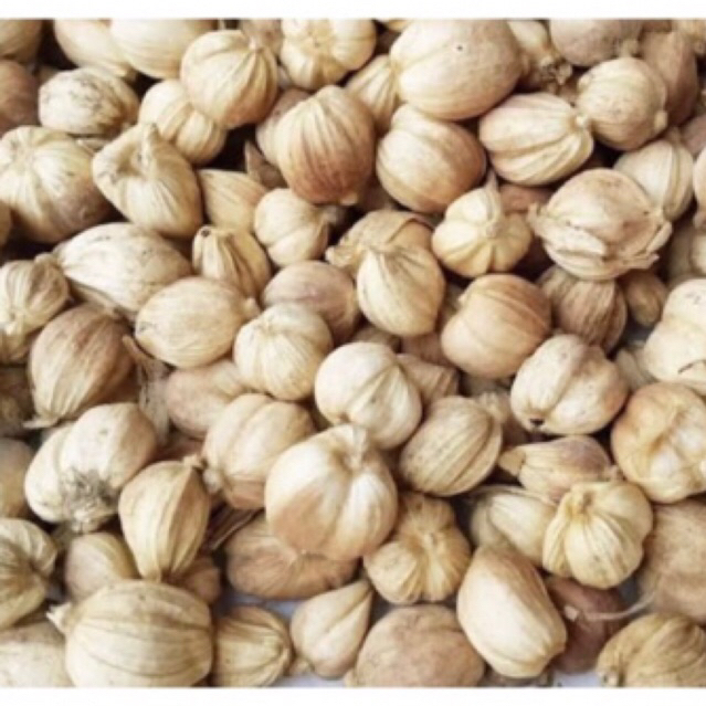 

KAPULAGA/500g/kapulaga kering bersih super/kapol original