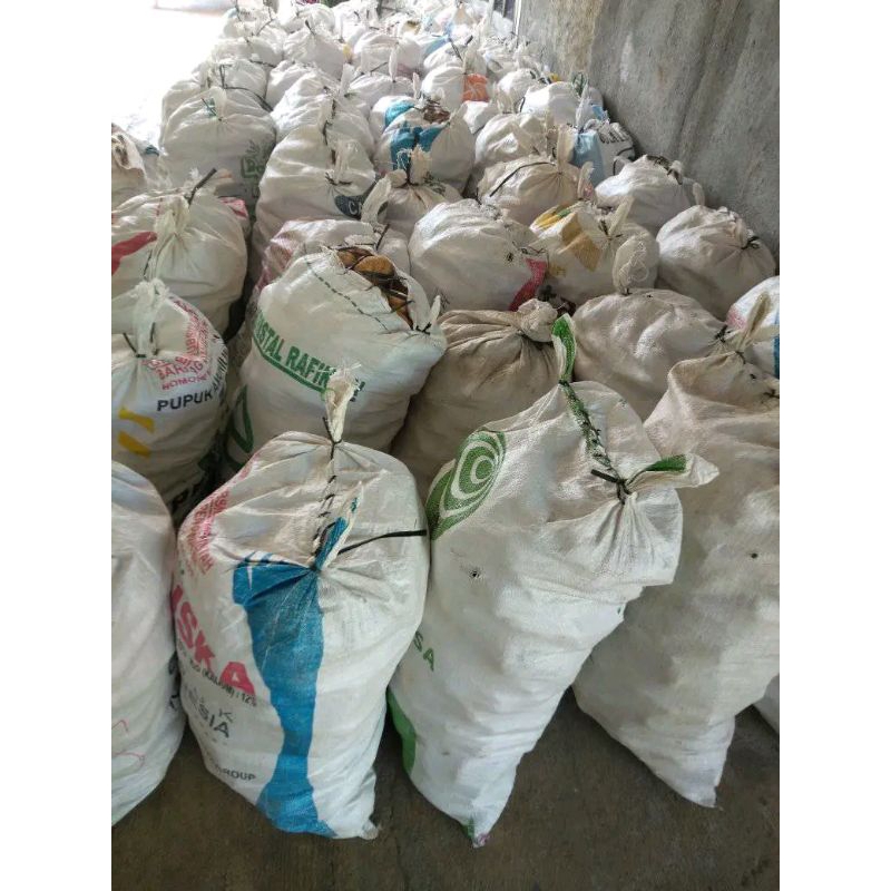 

GROSIR 1 KWINTAL UBI MADU BULUKERTO SPEK OVEN PILIHAN TERBAIK