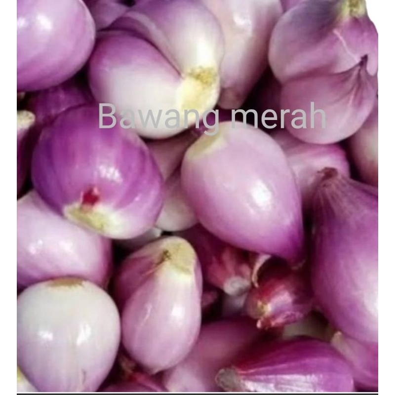 

Promo Bawang merah kupas 500gram