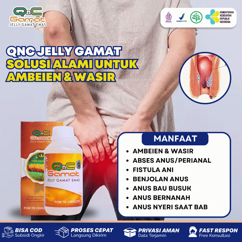 Obat Wasir Ambeien Abses Perianal FIstula Ani Benjolan Anus Qnc Jelly Gamat