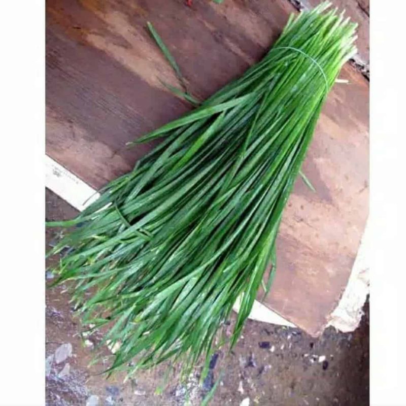 

daun kucai 1 ikat