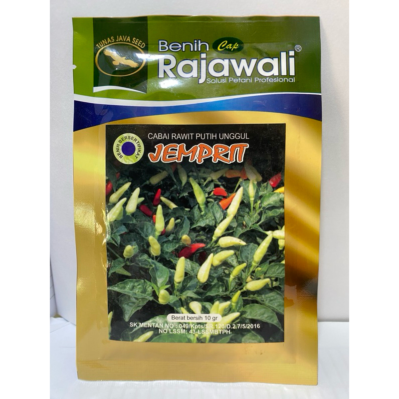 

Cabai Rawit Putih Cabai Jemprit