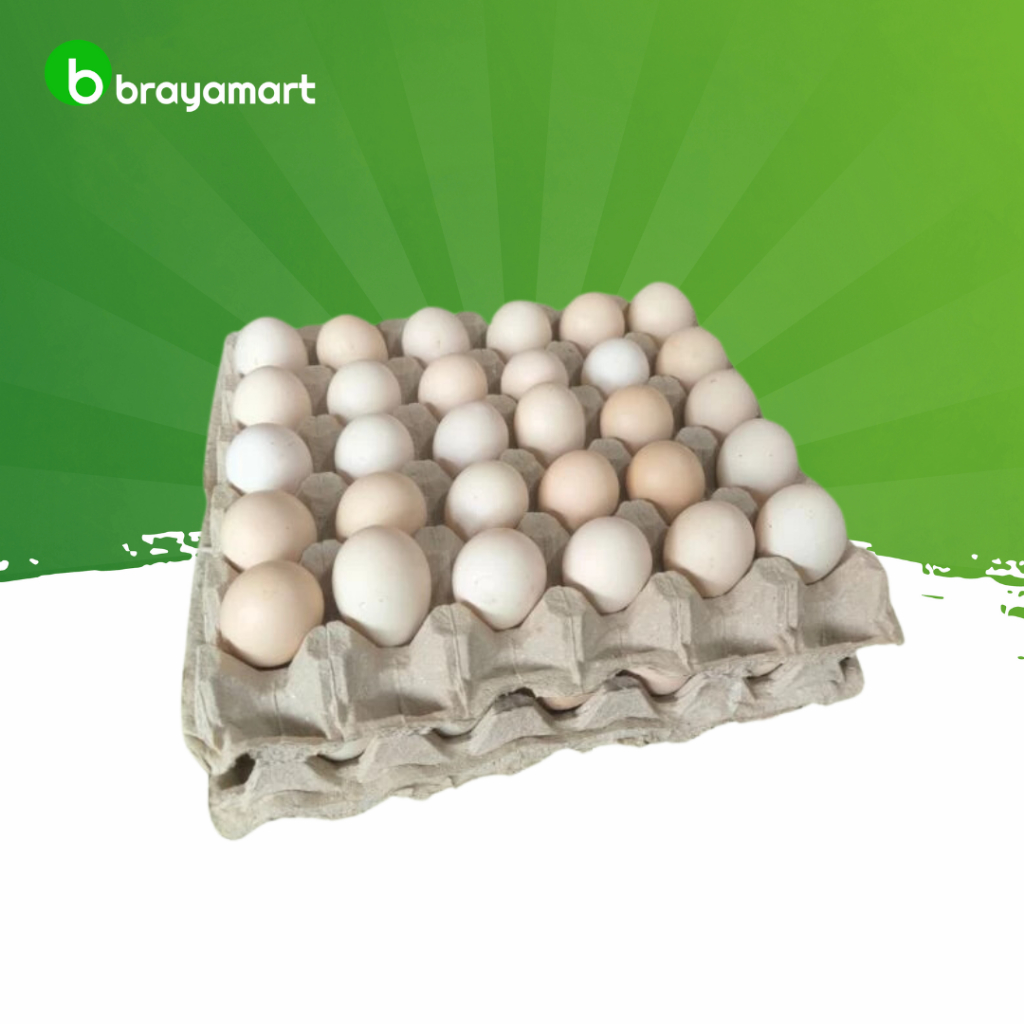 

Telur Ayam Kampung 1 Butir Brayamart