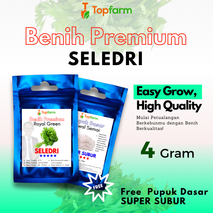 Benih Topfarm / Benih Seledri Super Jumbo / Benih Seledri Super / Benih Seledri Batang Besar / Benih
