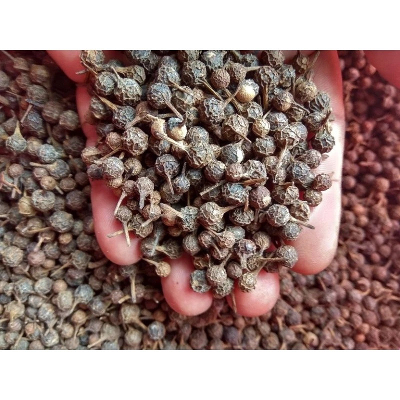 

Biji kemukus kering 100 gram