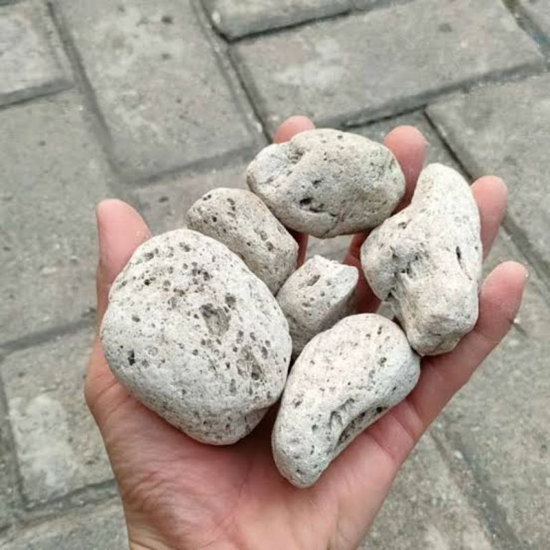 Batu Apung Media Filter Biologis Pumice