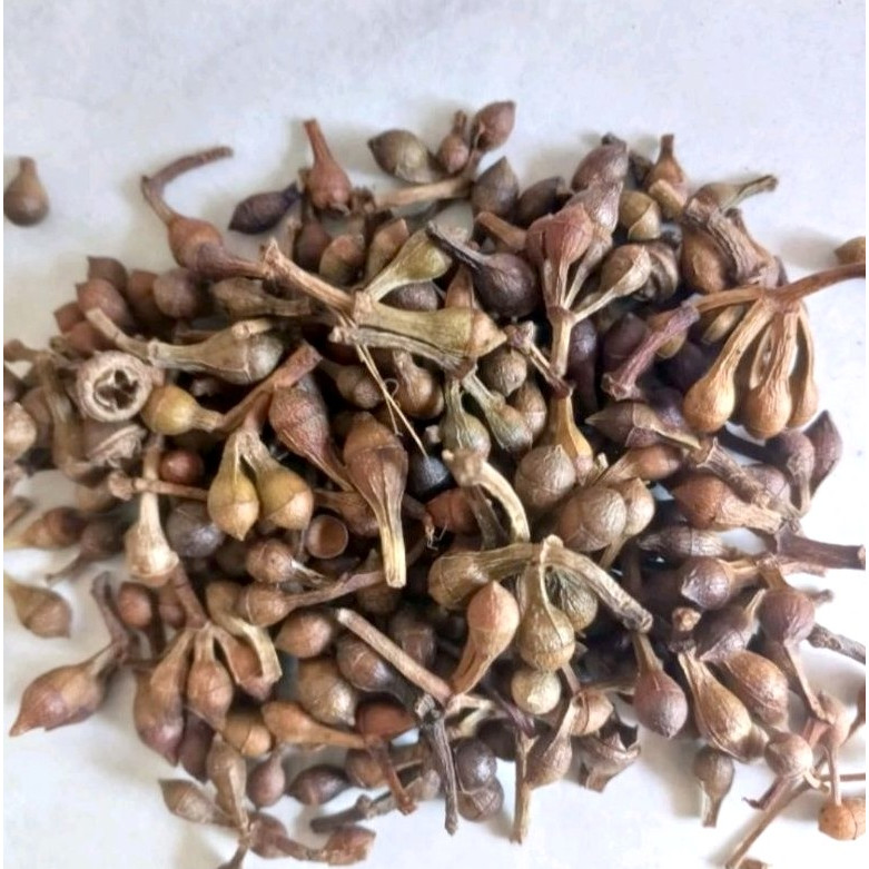 

Ceplikan / Cepliksari / Alba 50gr