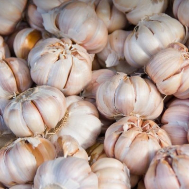 

BAWANG PUTIH KERING UNTUK BUMBU MASAKAN