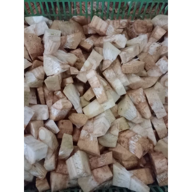 

Nangka Muda Sayur Potongan / Gori 450 gram