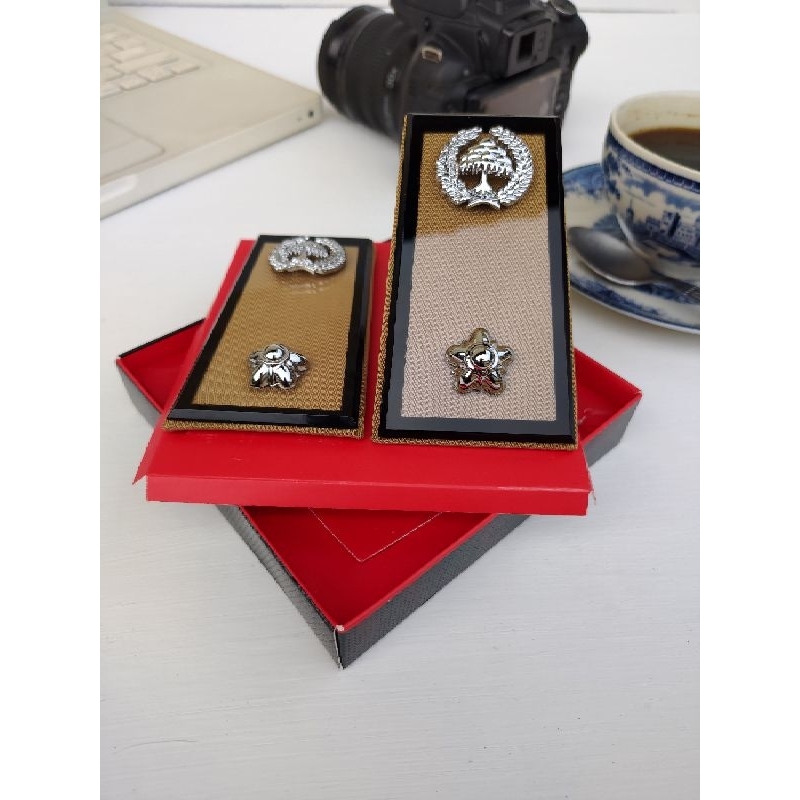 PANGKAT ASN LAMPUNG/BENGKULU GOLONGAN 4A BEST QUALITY