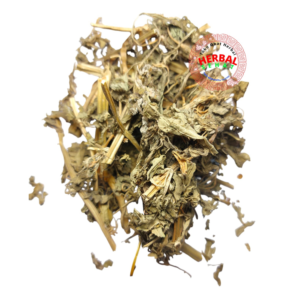 

Yi Mu Cao 300 Gram Ik Mu Cho Chinese Motherwort 益母草 Herba Leonuri Heterophylli herbal