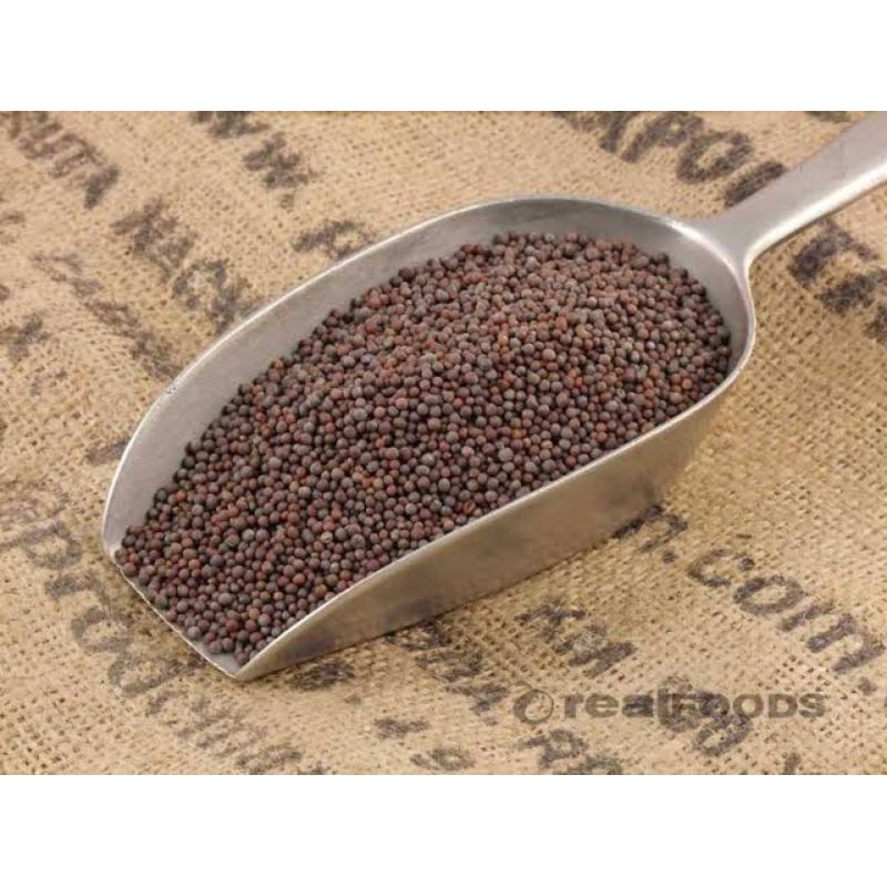 

Black Mustard Seed 50gram / Biji Sawi Hitam