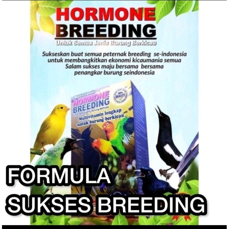 HORMON BREDDING BURUNG ternak bral brul teruji