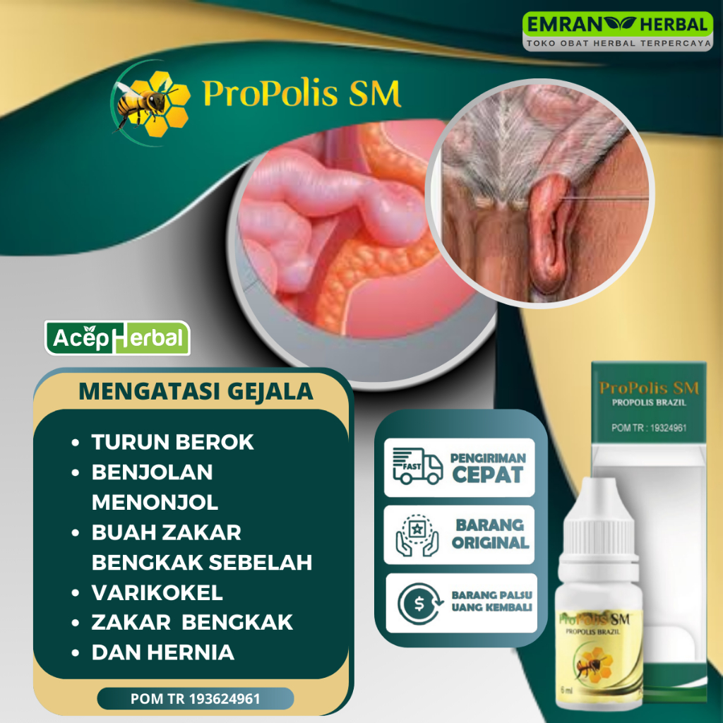 Propolis SM Brazil Obat Herbal Turun Berok Pria Wanita Alami Aman Tanpa Efek Samping - Obat Benjolan