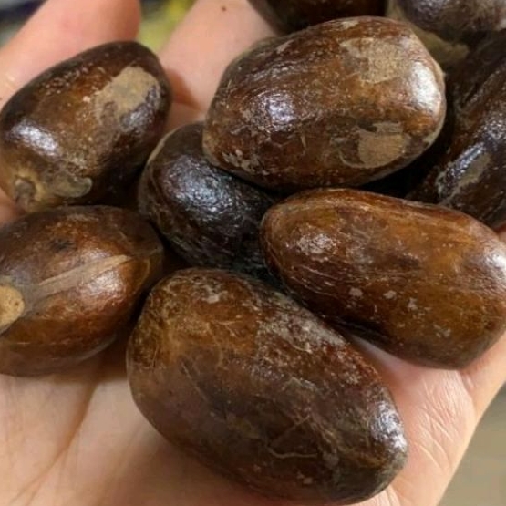 

BIJI PALA LONJONG UTUH 50GRAM