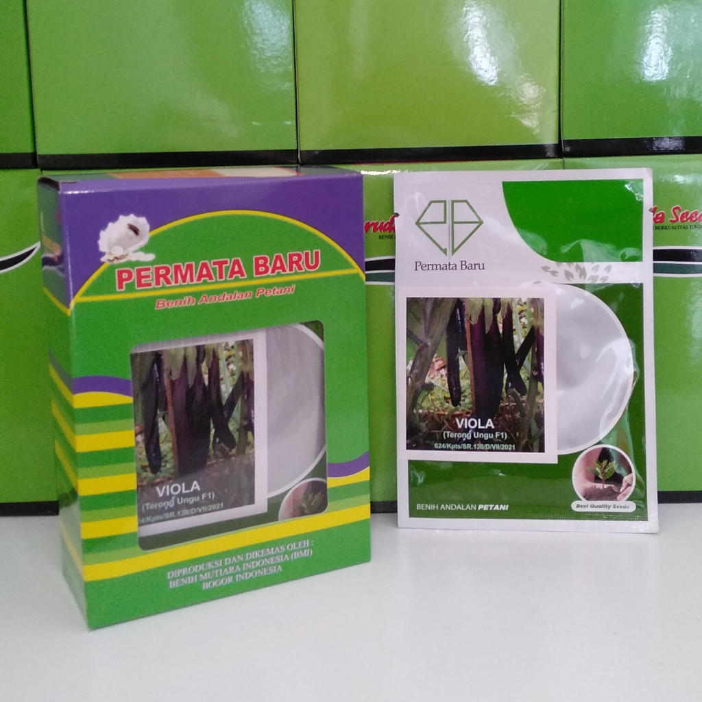 Benih Terong Ungu Hibrida VIOLA F1 Isi Sekitar 1250 Biji Benih Terong Ungu Benih Terong Ungu Panjang