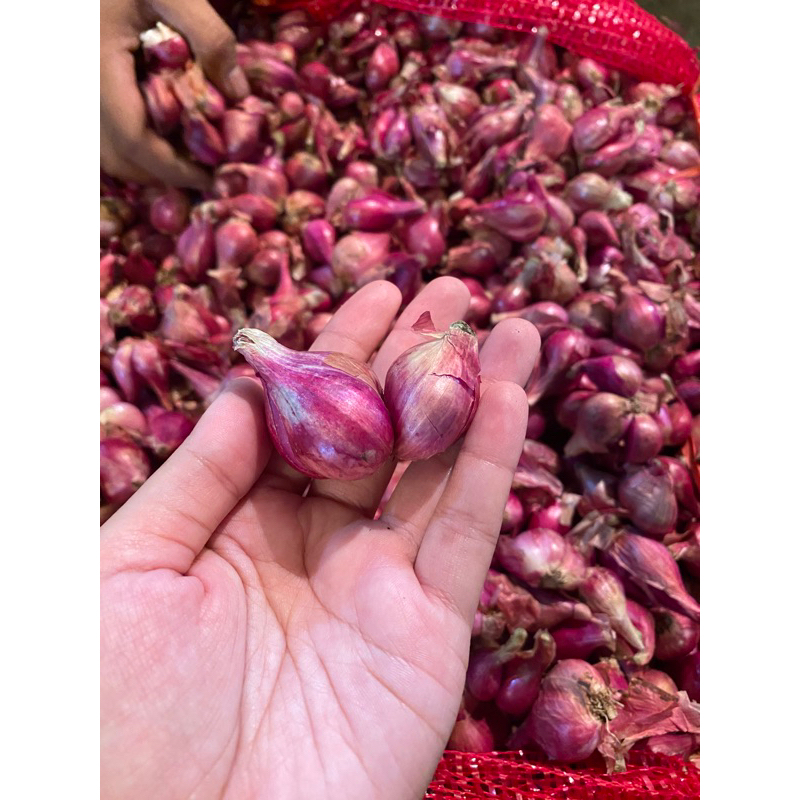 

Bawang Merah Brebes