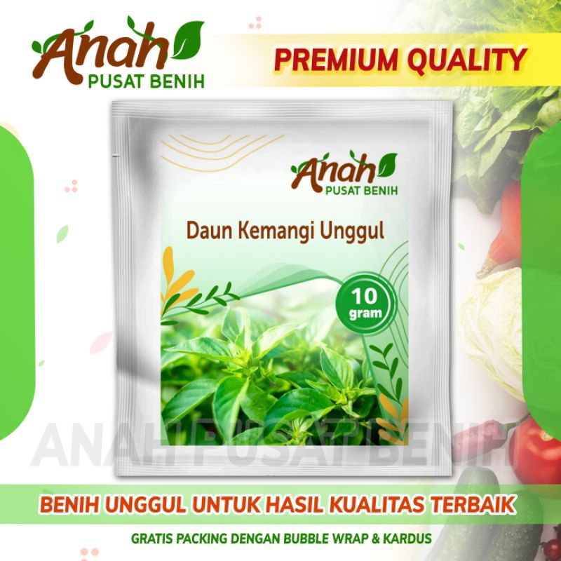 

Benih Daun kemangi super 10 gram / Bibit kemangi / Biji daun kemangi