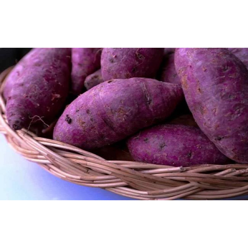 

SINGKONG UNGU MDe Segar Ready boskuu