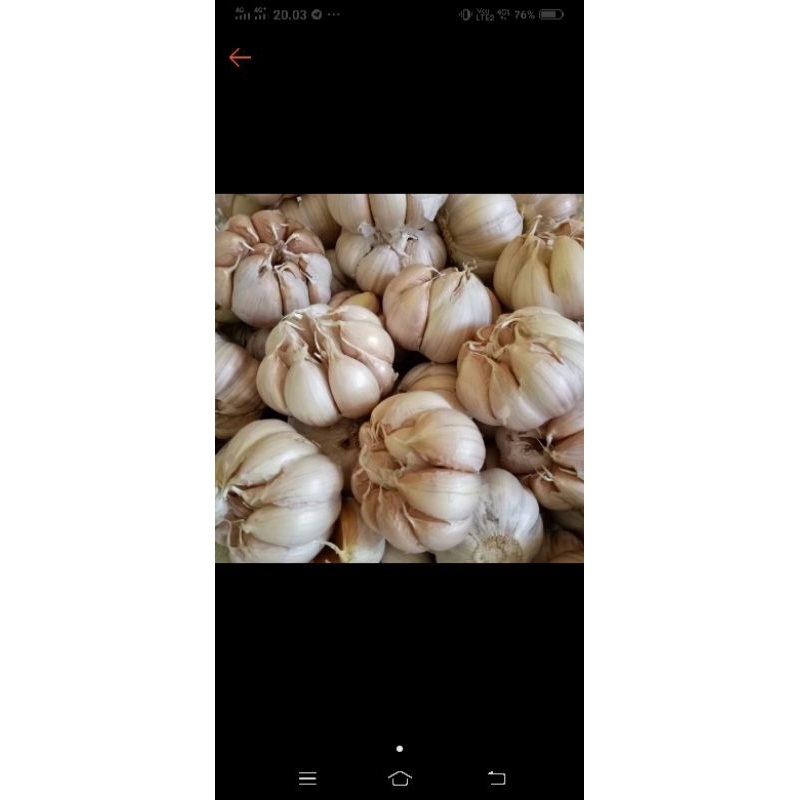 

bawang putih ½ kg