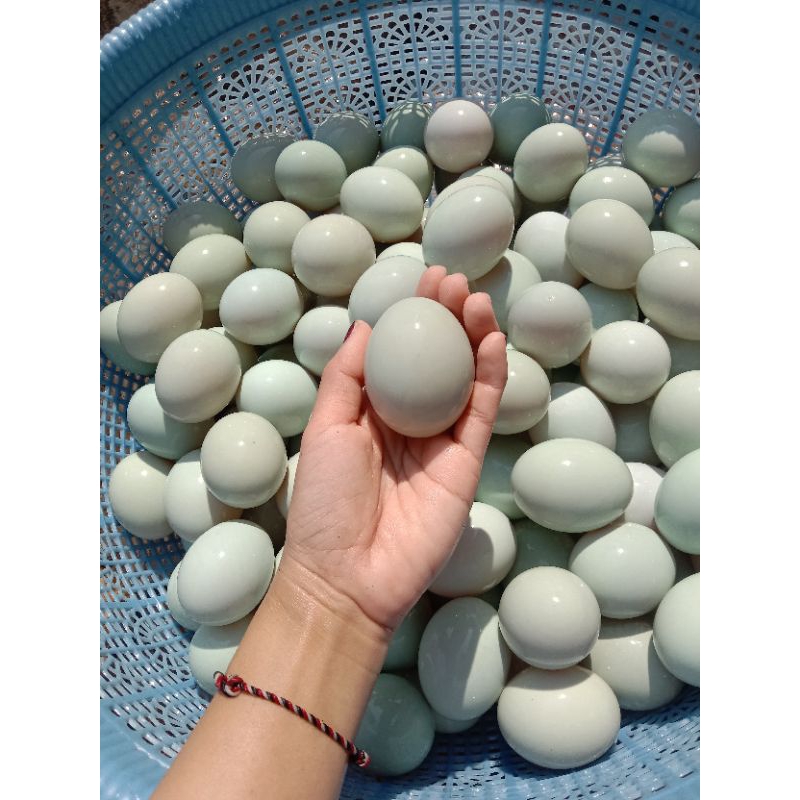 

telur asin isi 6 pcs