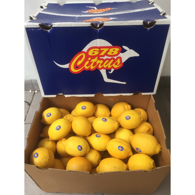

Lemon Australia 1 Dus (14 Kg) Fresh Import