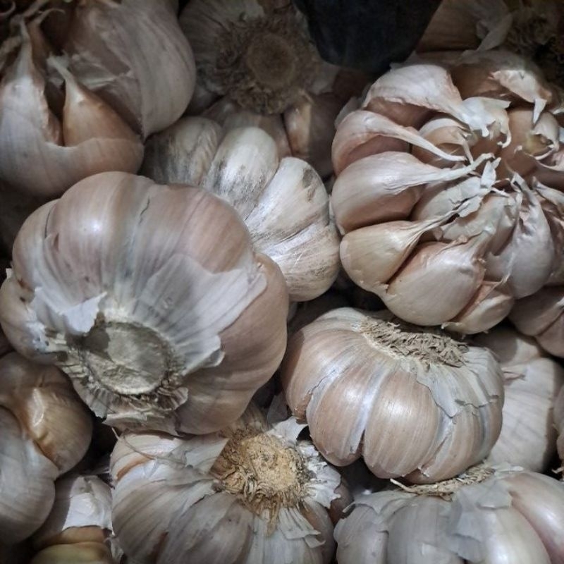 

bawang putih 500gr besar-besar